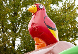 Encomende o castelo insuflavel com tema de pirata na JB Insufláveis ​​Portugal. Compre castelos insufláveis com escorregador na JB Insufláveis ​​Portugal