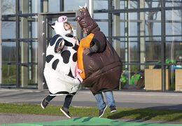 Encomende trajes de sumô infláveis ​​no tema Cow & Bull para jovens e idosos. Compre ternos de sumô infláveis ​​online na JB Insuflaveis Portugal