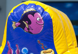 Compre a aventura inflável hermética do mundo do mar para jovens e idosos. Encomende jogos de sinuca infláveis ​​agora online na JB Insuflaveis Portugal