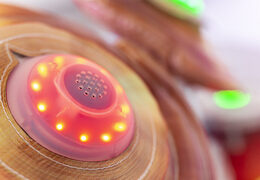 Kit de bateria inflável com sistema de jogo interativo à venda