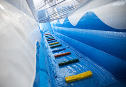 Escorrega inflável com o tema golfinho perfeito e objetos 3D sob encomenda para as crianças. Compre escorregadores infláveis ​​agora online na JB Insuflaveis Portugal