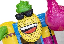 Compre um pequeno castelo insuflável multijogador no tema flamingo com escorregador para crianças. Castelos insufláveis com escorregador à venda na JB Insufláveis Portugal