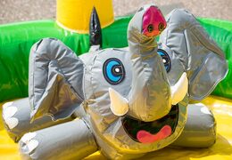 Compre um castelo insuflável  com tema de selva playzone com bolas de plástico e objetos 3D para crianças. Encomende castelos insufláveis ​​online na JB Insufláveis Portugal