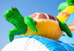 Compre um castelo super insuflável maxifun em cores brilhantes e divertidas figuras 3D com o tema peixe-palhaço na  JB Insufláveis Portugal. Encomende castelos insufláveis  ​​agora online em JB Insufláveis Portugal