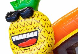 Compre um castelo insuflável multijogador com o tema flamingo e banheiras conectáveis para crianças na JB Insufláveis ​​Portugal. Encomende castelos insufláveis online na JB Insufláveis ​​Portugal