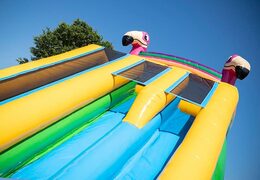 Encomende Drop & Slide Jungle castelo insuflável com escorregador duplo para crianças. Compre castelos insufláveis ​​online na JB Insufláveis Portugal