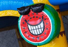 Opblaasbaar Jumpy Happy Splash springkussen met bad kopen in thema flamingo voor kinderen bij JB Inflatables