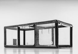 Compre cápsula inflável para guardar veículos