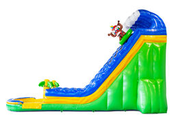 Compre toboágua inflável Waterslide D22 Hawaii com tema tropical