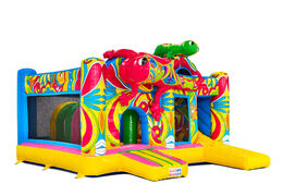 Lado do Multiplay Ibiza rosa verde salamandras