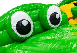 Encomende online o castelo insuflável com tema de crocodilo e olhos em 3D