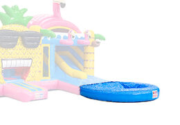 Comprar online piscina para castelos insufláveis com duplo escorrega