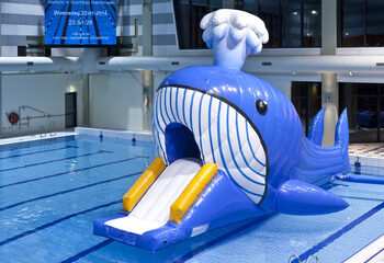 Compre o Obstacle Run hermético com tema de baleia com objetos desafiadores para crianças. Encomende cursos de obstáculos infláveis ​​online agora na JB Insuflaveis Portugal
