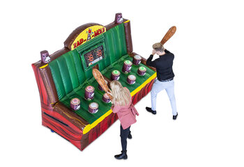 Zap a Mole interativo