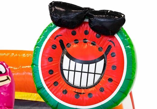 Encomende um castelo insuflável de flamingo para crianças na JB Insufláveis ​​Portugal. Compre castelos insufláveis \online na JB Insufláveis ​​Portugal