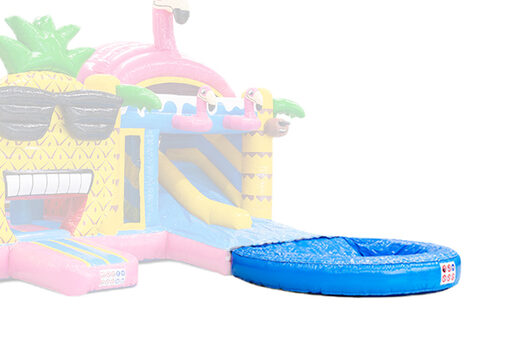 Comprar online piscina para castelos insufláveis com duplo escorrega